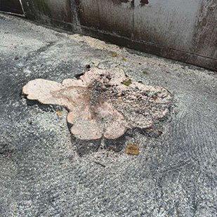  Stump Grinding Long Island