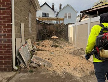 Tree Pruning Blog