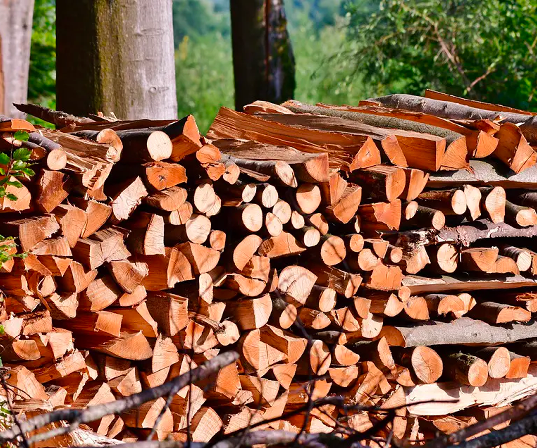 Firewood