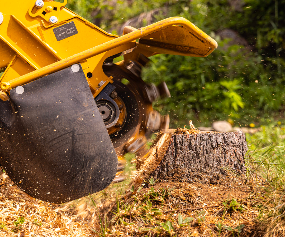 Stump Grinding